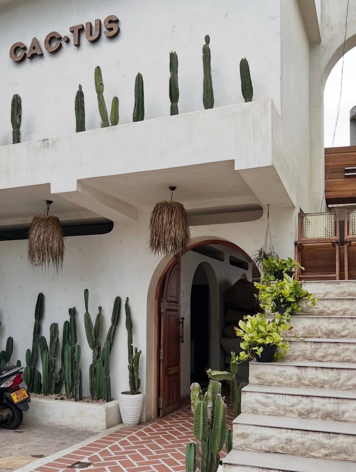 White entrance with the Cactus sign and rows of cacti