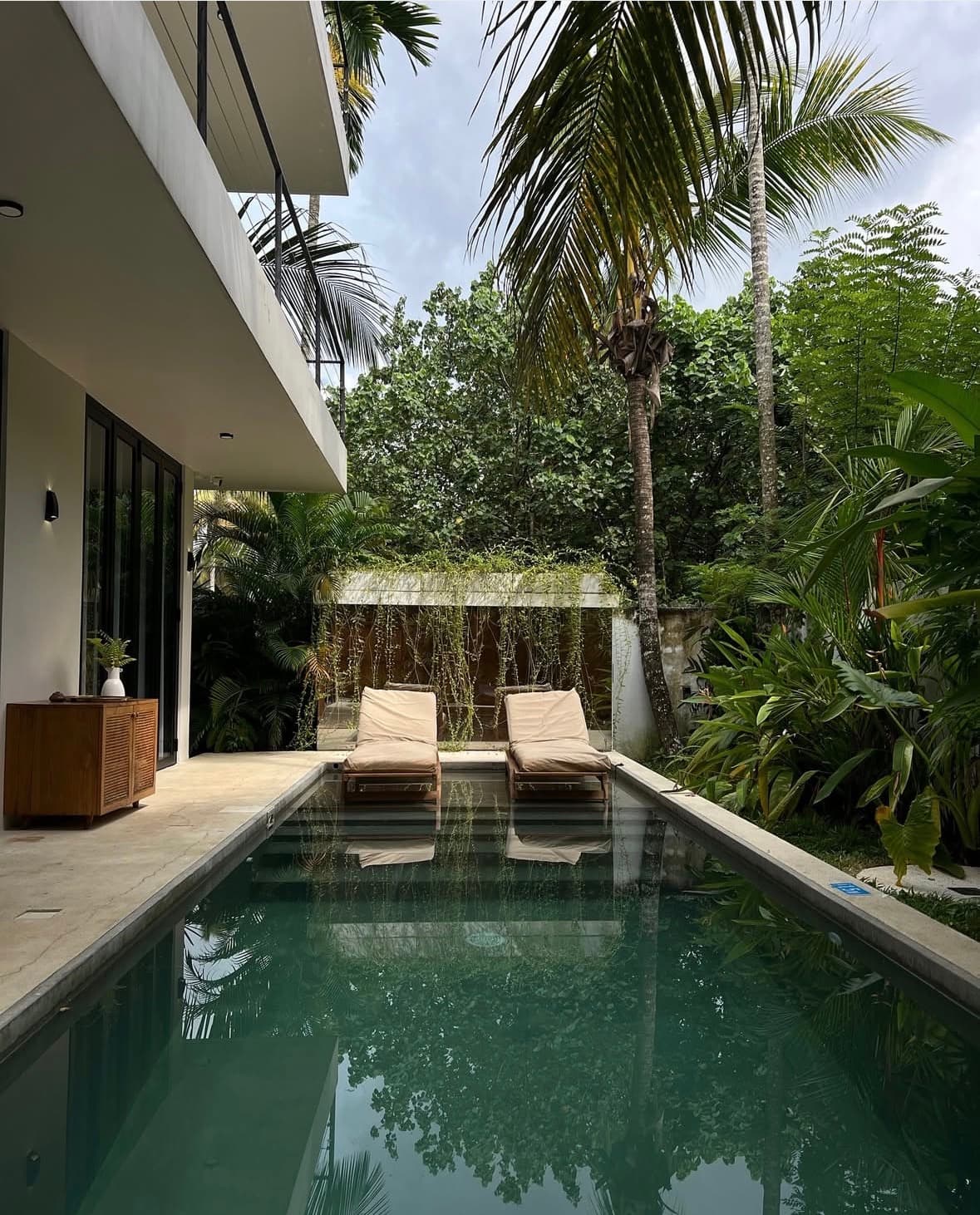 Private villa pool with two loungers under the palms
