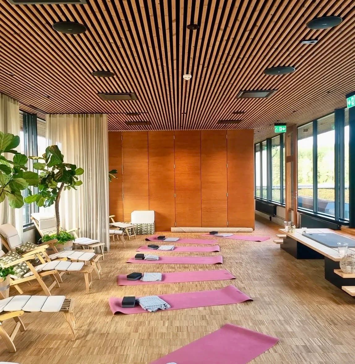 Bright yoga studio with mats and loungers