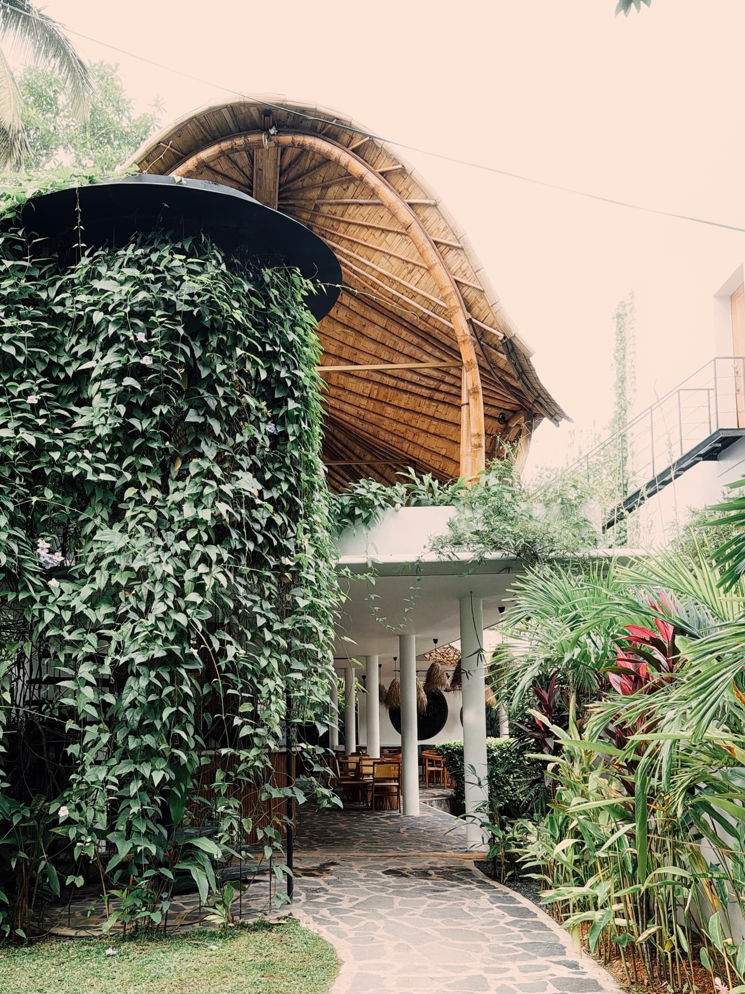 Bamboo-roofed restaurant behind a wall of climbing plants