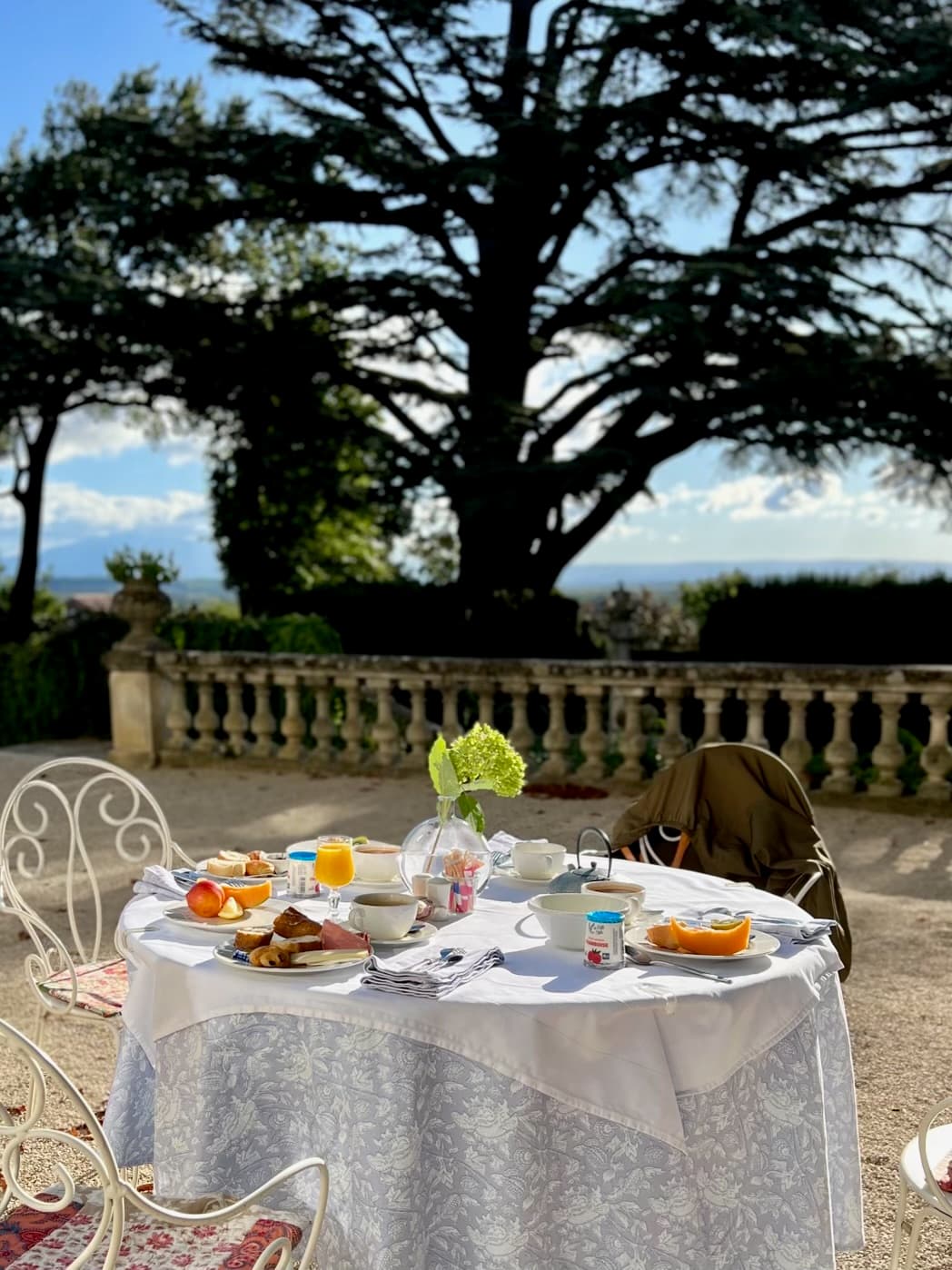 Breakfast table on the terrace under a big cedar