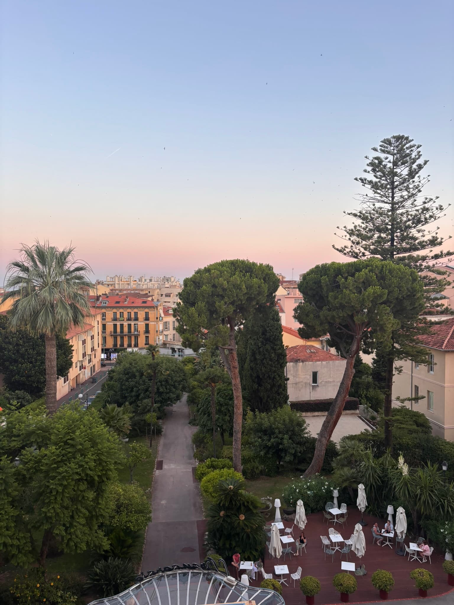 Pink sunset over pines, palms and the garden terrace