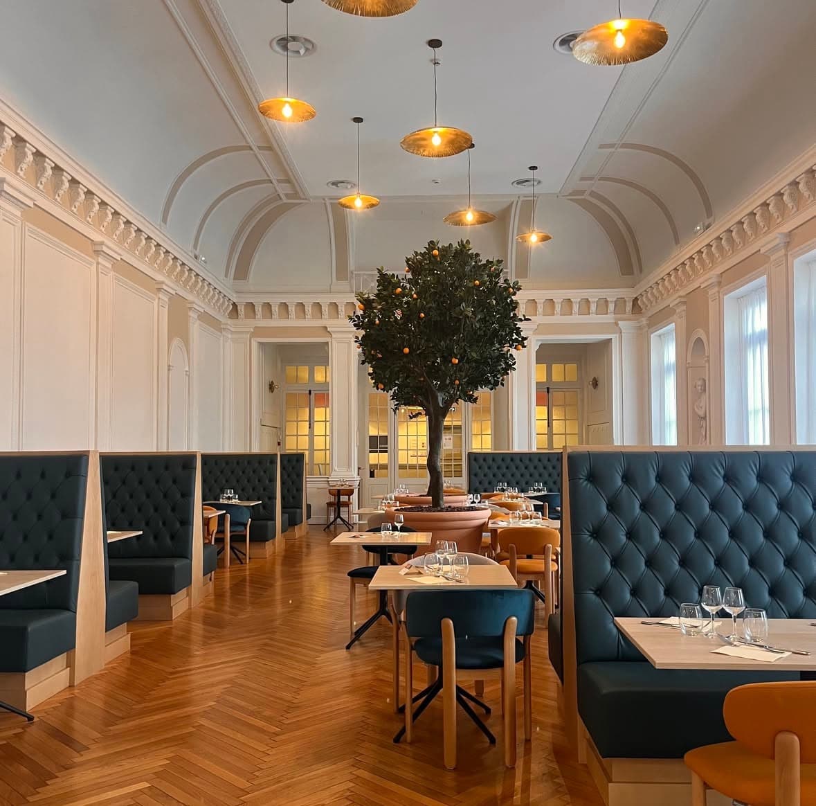 Restaurant with an orange tree, tufted booths and herringbone floor