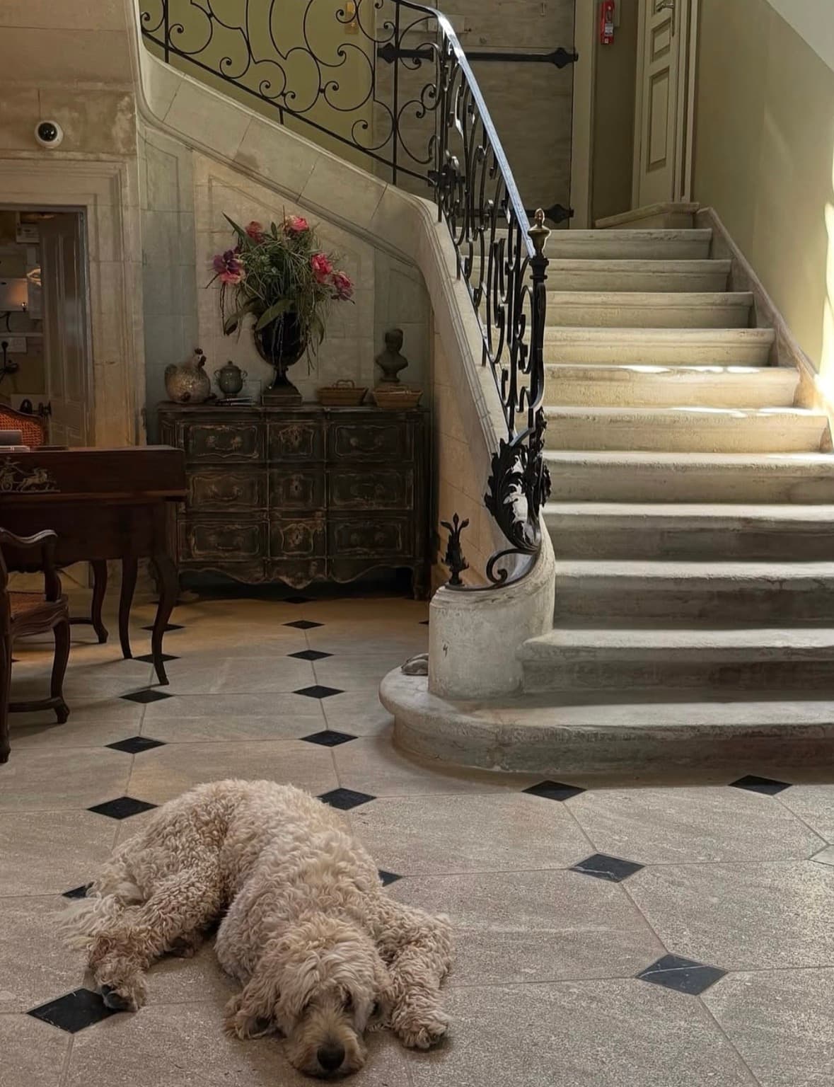 The house dog asleep by the stone staircase