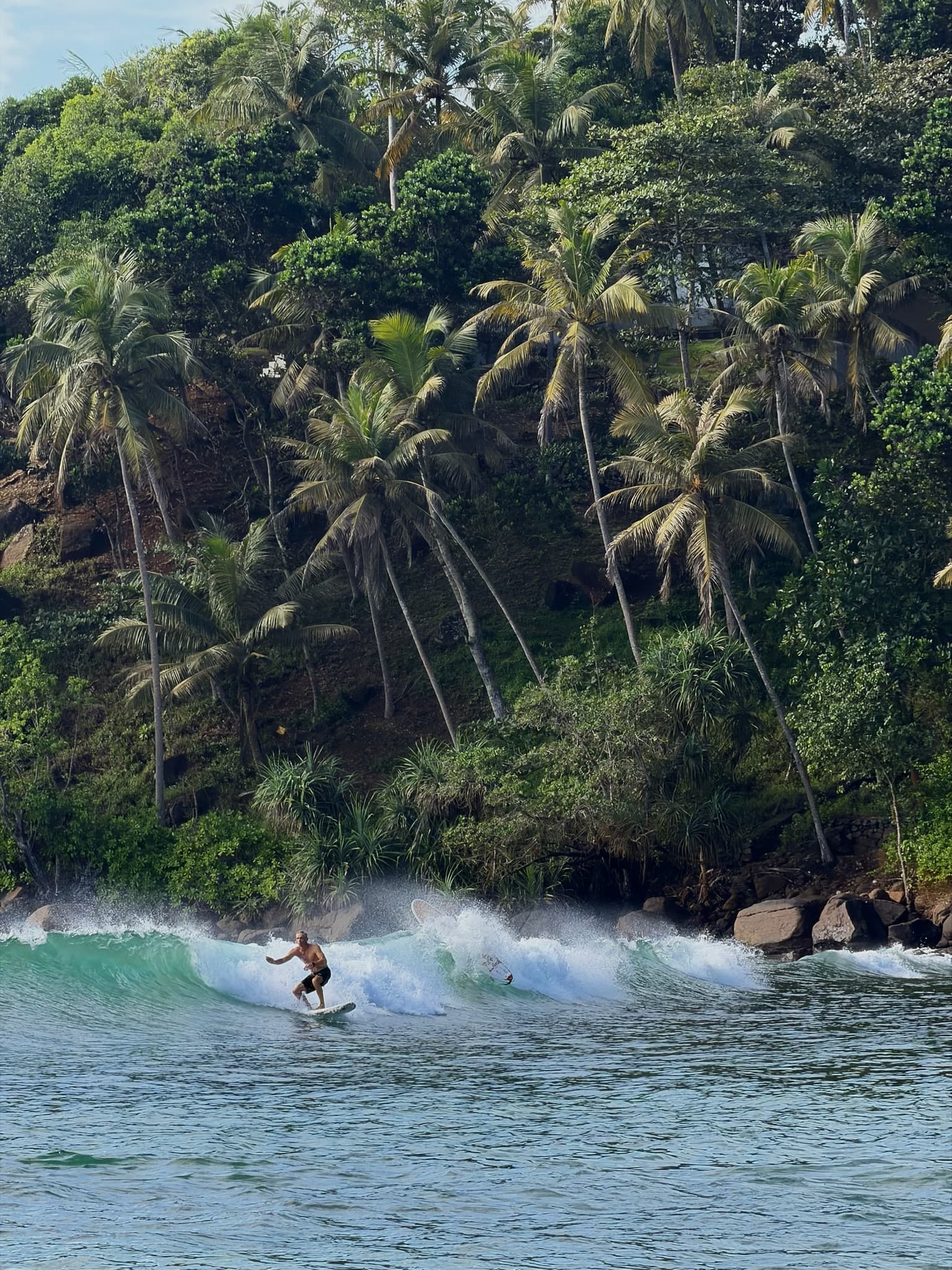 Surfer riding a turquoise wave below a jungle hillside